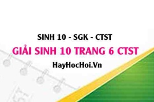 Giải Sinh 10 trang 6 Chân trời sáng tạo SGK